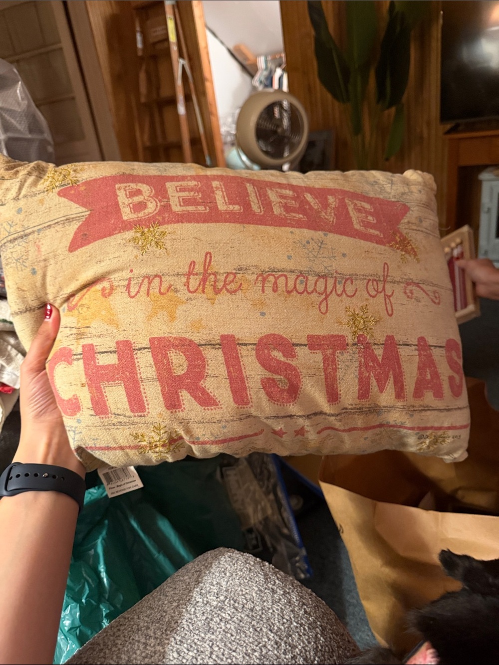 Holiday Throw Pillow - Believe in the Magic of Christmas (Red)